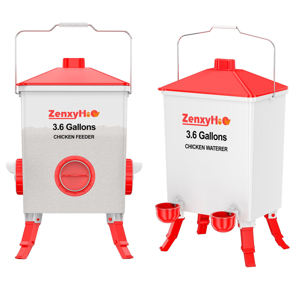 ZenxyHoC chicken feeder waterer with visible levels for easy coop monitoring