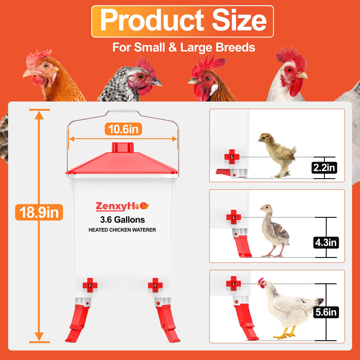 ZenxyHoC chicken waterer adjustable legs stabilizes on uneven ground