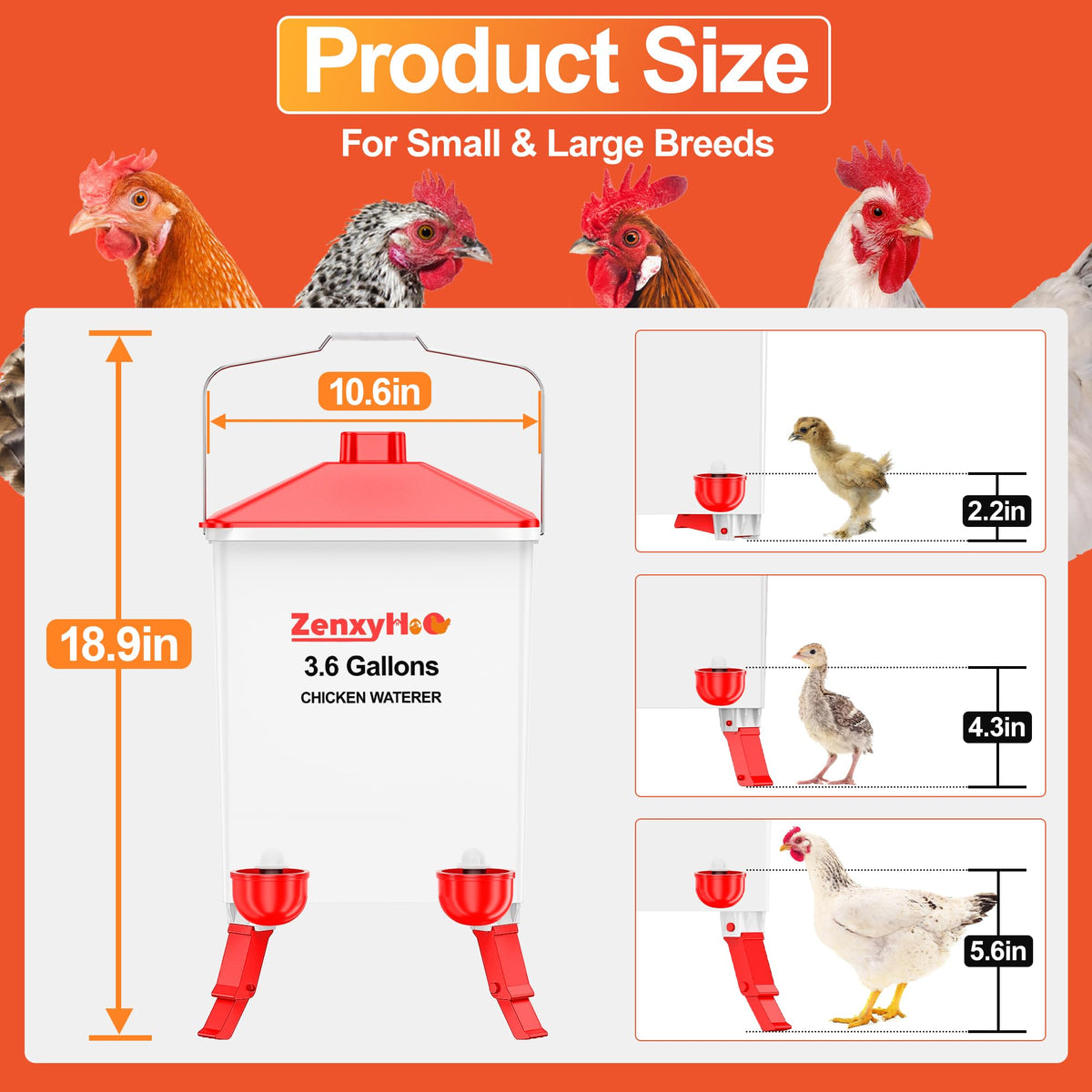 ZenxyHoC waterer shows visible water level for easy monitoring
