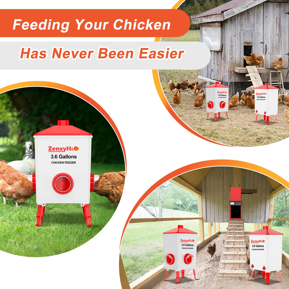 ZenxyHoC coop setup in backyard streamlines feeding and watering routines.