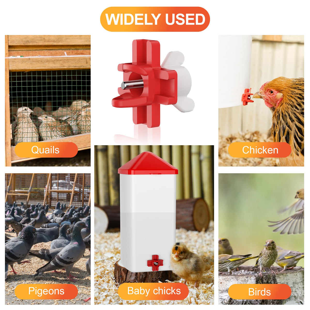 ZenxyHoC easy-installation kit enables quick flock upgrade.