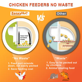 ZenxyHoC gravity-feed design in action for continuous flock access.
