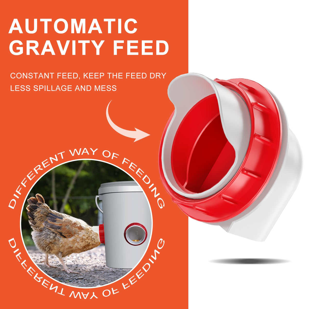 ZenxyHoC gravity feed setup shows easy downward flow for chickens.