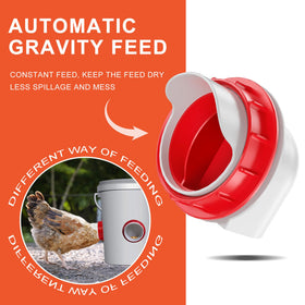 ZenxyHoC gravity feed setup shows easy downward flow for chickens.