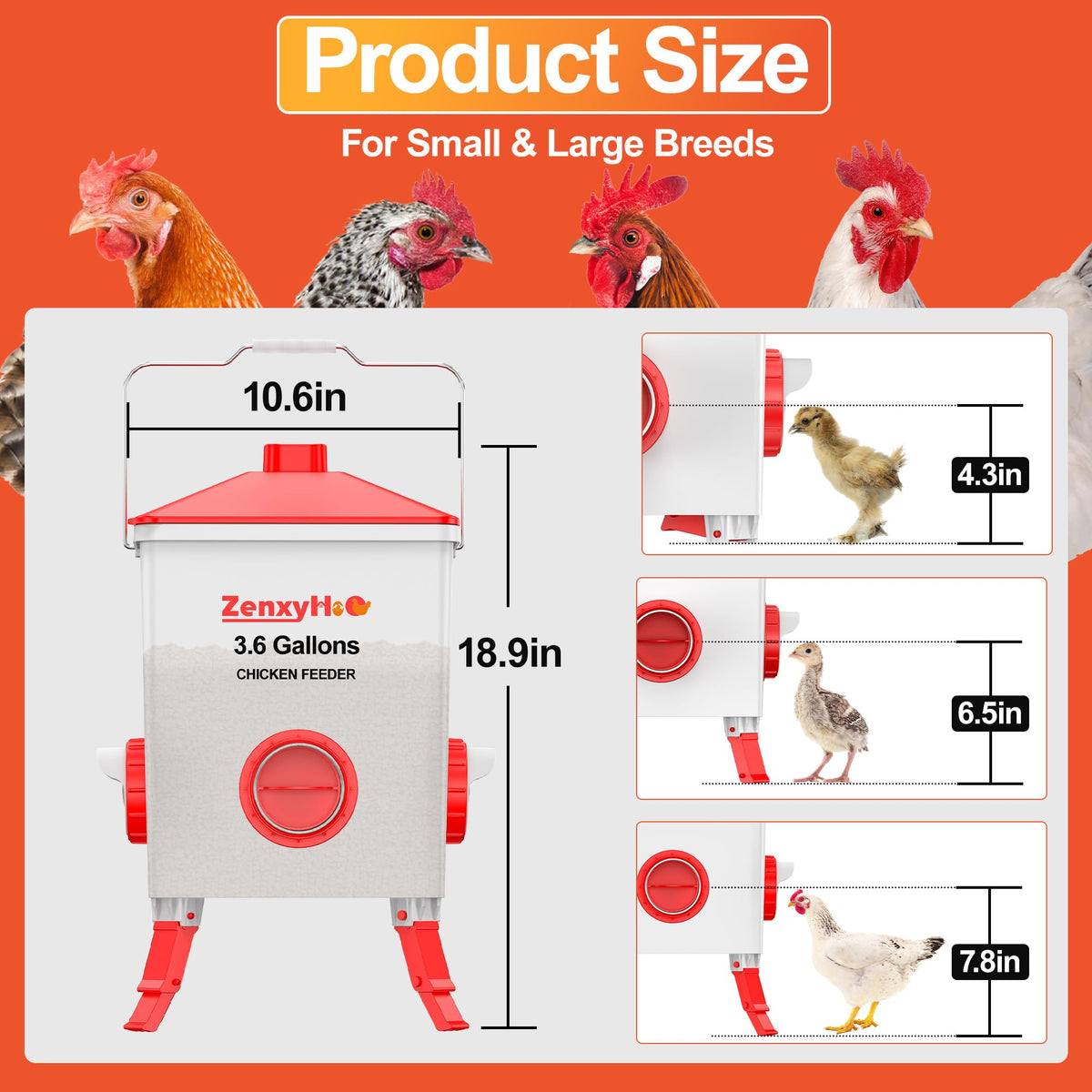 ZenxyHoC three-height adjustable legs for growing birds