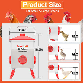 ZenxyHoC three-height adjustable legs for growing birds
