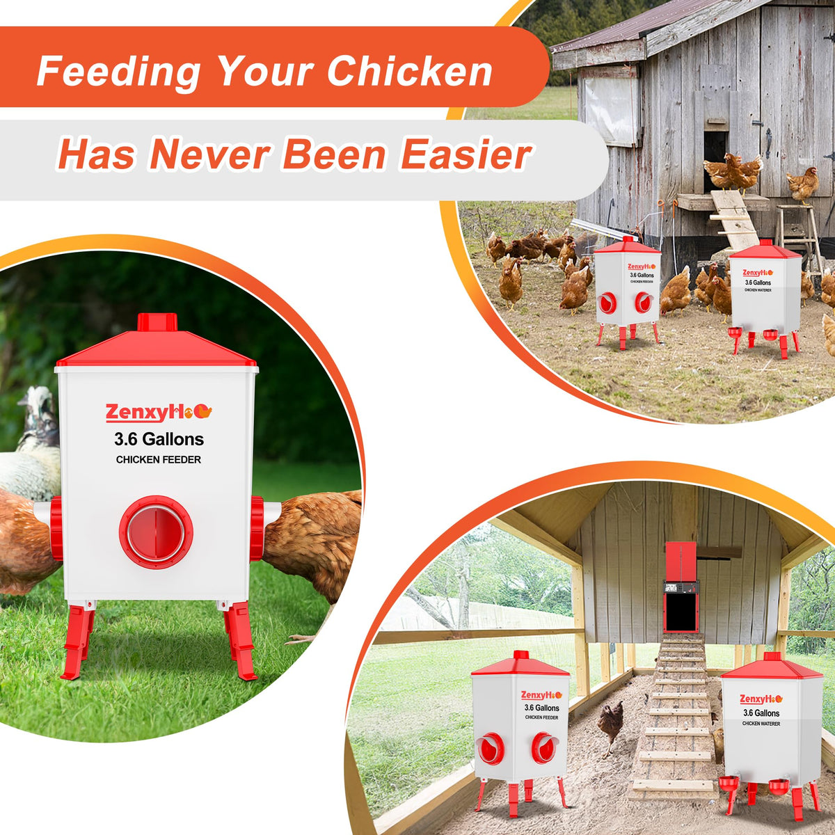 ZenxyHoC integrated cups and feeder support efficient flock management.