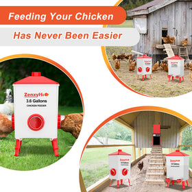 ZenxyHoC integrated cups and feeder support efficient flock management.