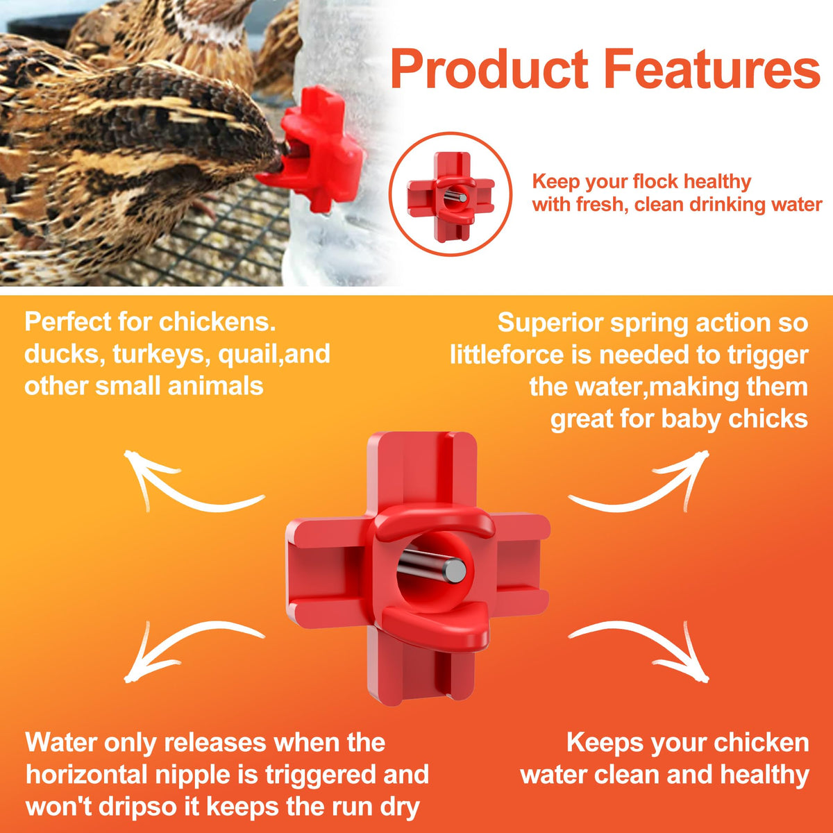 ZenxyHoC side-mount waterer setup provides easy bird access.