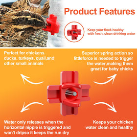 ZenxyHoC side-mount waterer setup provides easy bird access.