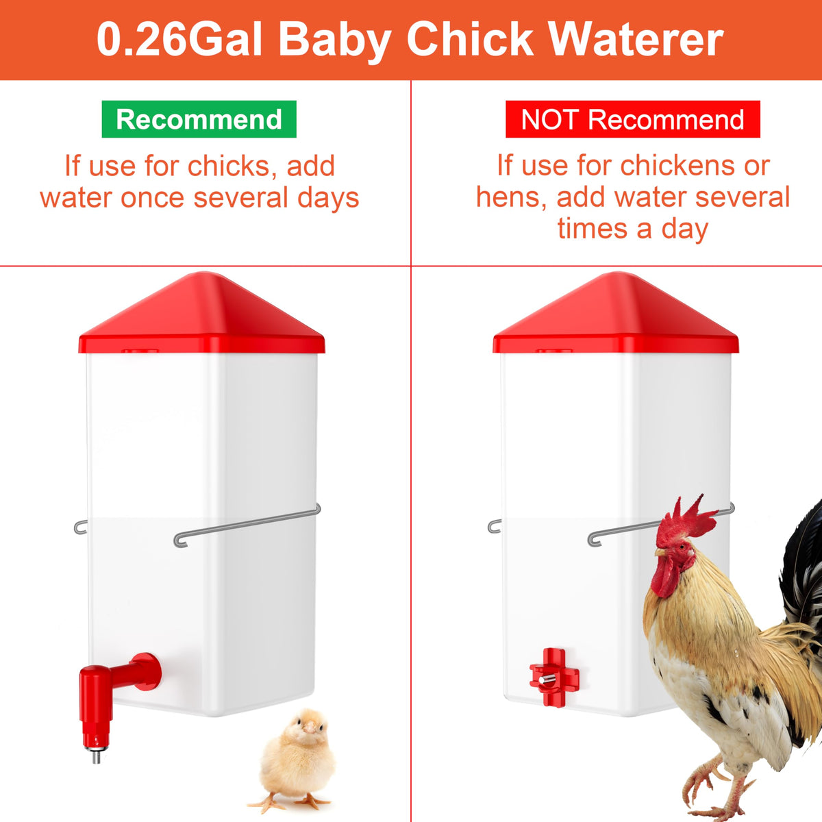 ZenxyHoC vertical nipple drinker delivering steady water for small birds