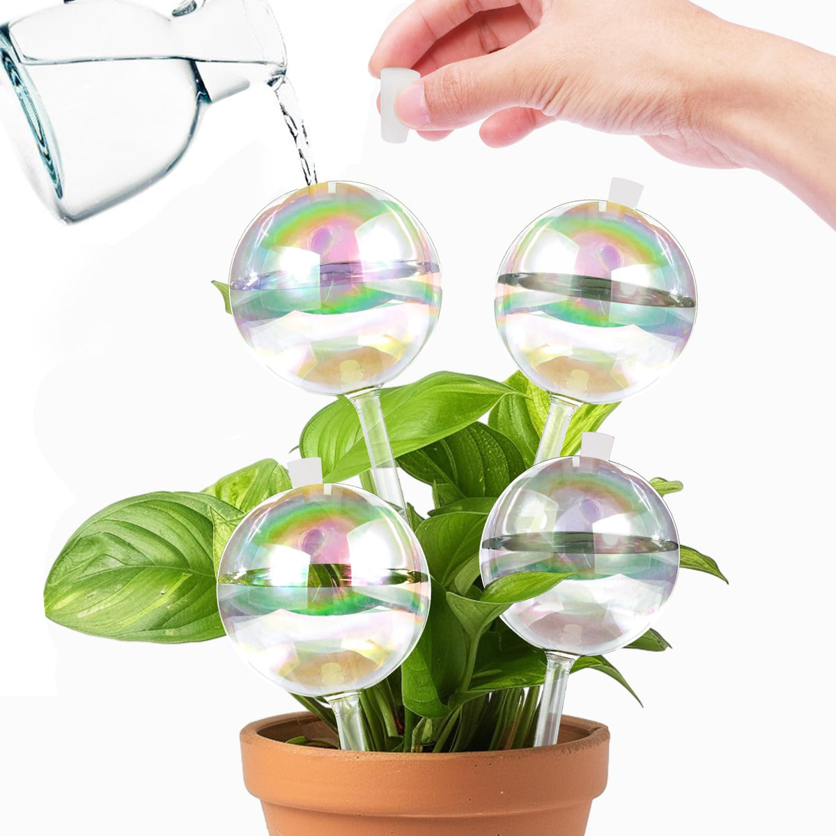 ZephyrBloom care guide shows safe handling and placement tips.