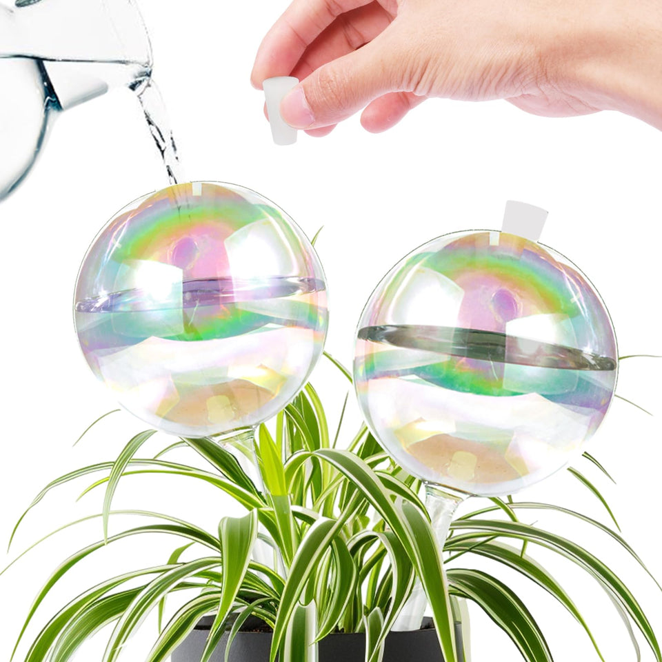 ZephyrBloom 13 oz watering globe ready to hydrate indoor plants for up to two weeks.