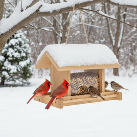 Zeqeey bird feeder 2-liter capacity minimizes refills during busy seasons