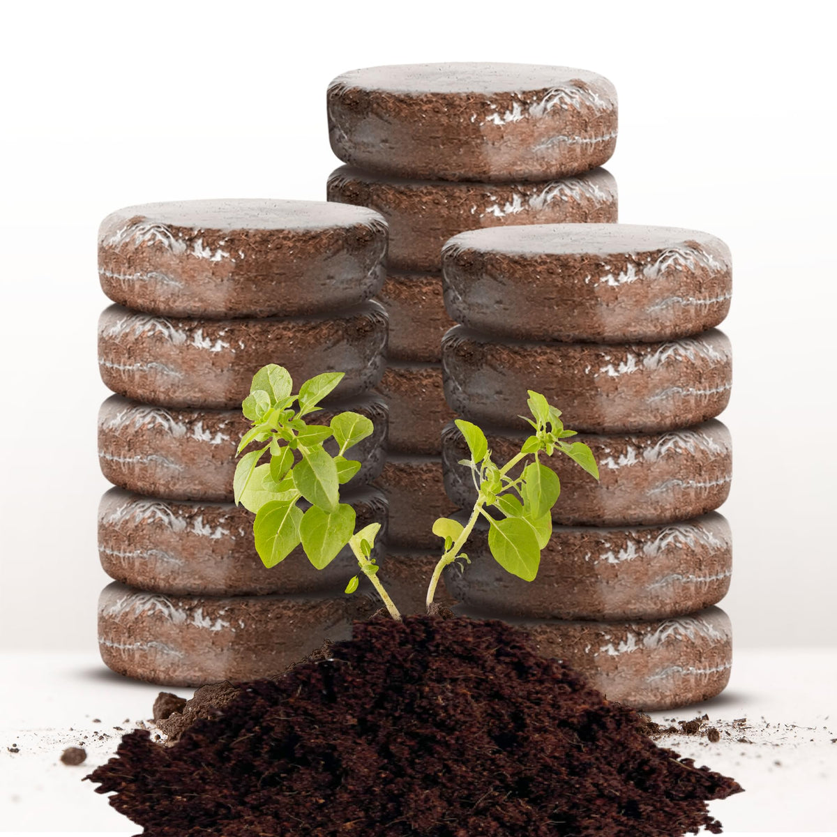 ZESTIGREENS 16-pack coco coir grow discs expand into soil for pots