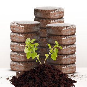 ZESTIGREENS 16-pack coco coir grow discs expand into soil for pots