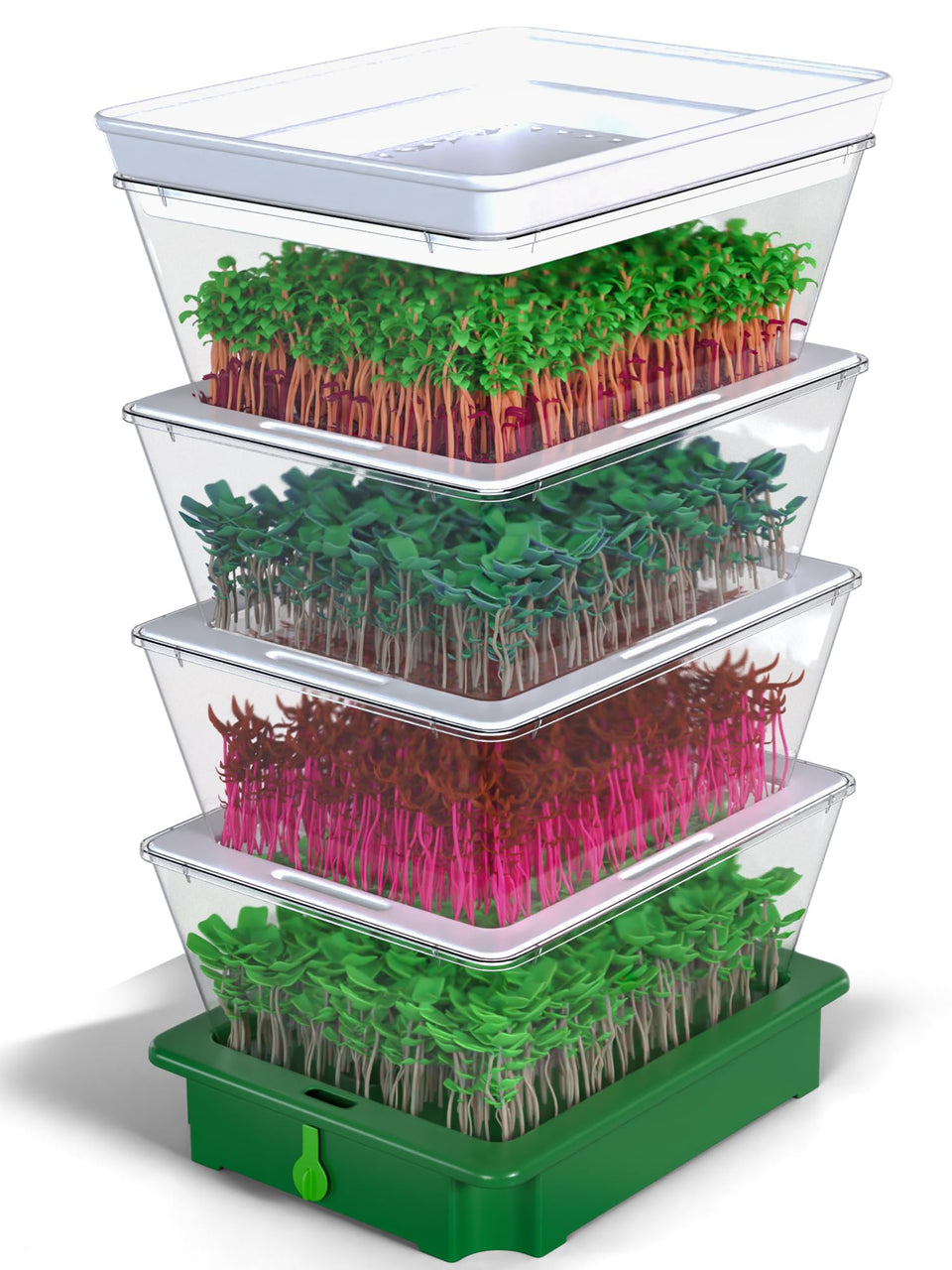 ZESTIGREENS 4-Tier sprouting kit with stackable trays for compact home sprouts