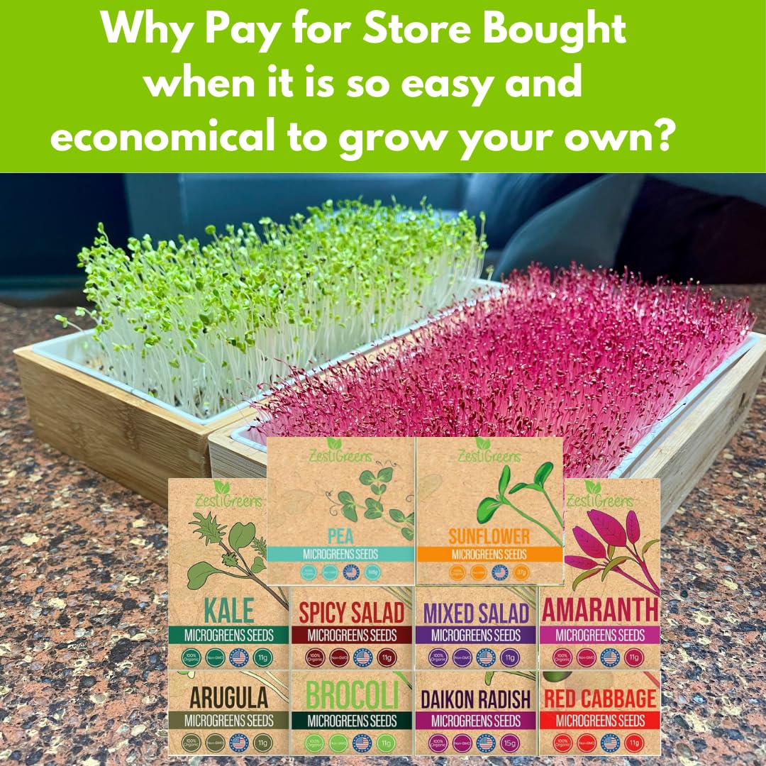 ZESTIGREENS arugula microgreens seeds peppery flavor for sandwiches