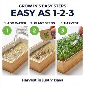 ZESTIGREENS bamboo surround tray showing durable reusable design for harvests