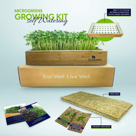 ZESTIGREENS blackout felt lid supports steady uniform growth