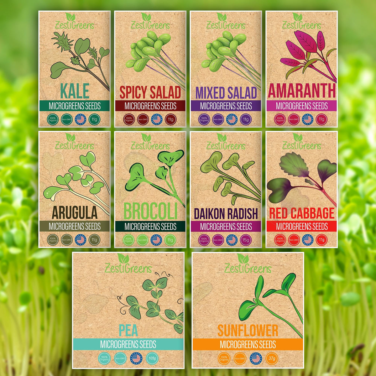 ZESTIGREENS broccoli microgreens seeds for quick indoor harvest on a sunny windowsill