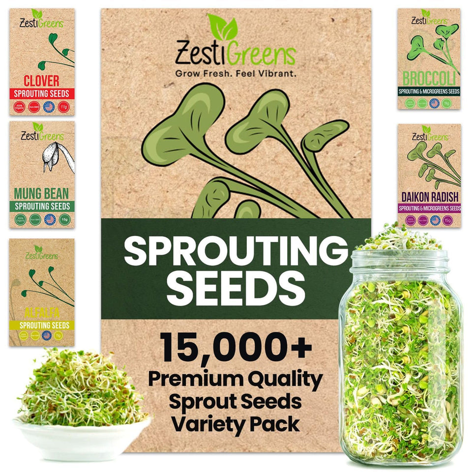 ZestiGreens broccoli seed pack for quick, fresh sprouts.