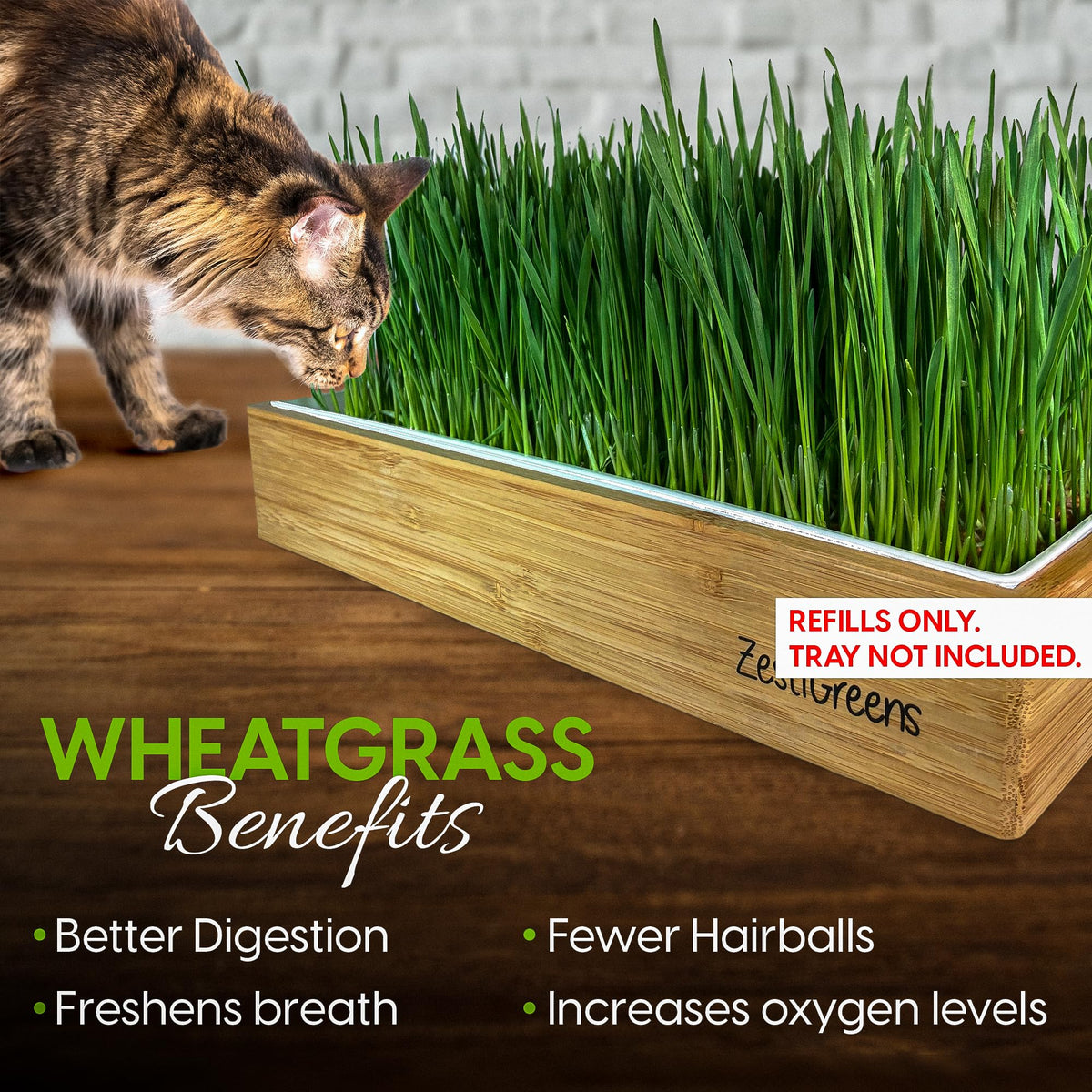 ZESTIGREENS cat grass growth timeline showing quick sprouts in days.