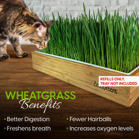 ZESTIGREENS cat grass growth timeline showing quick sprouts in days.