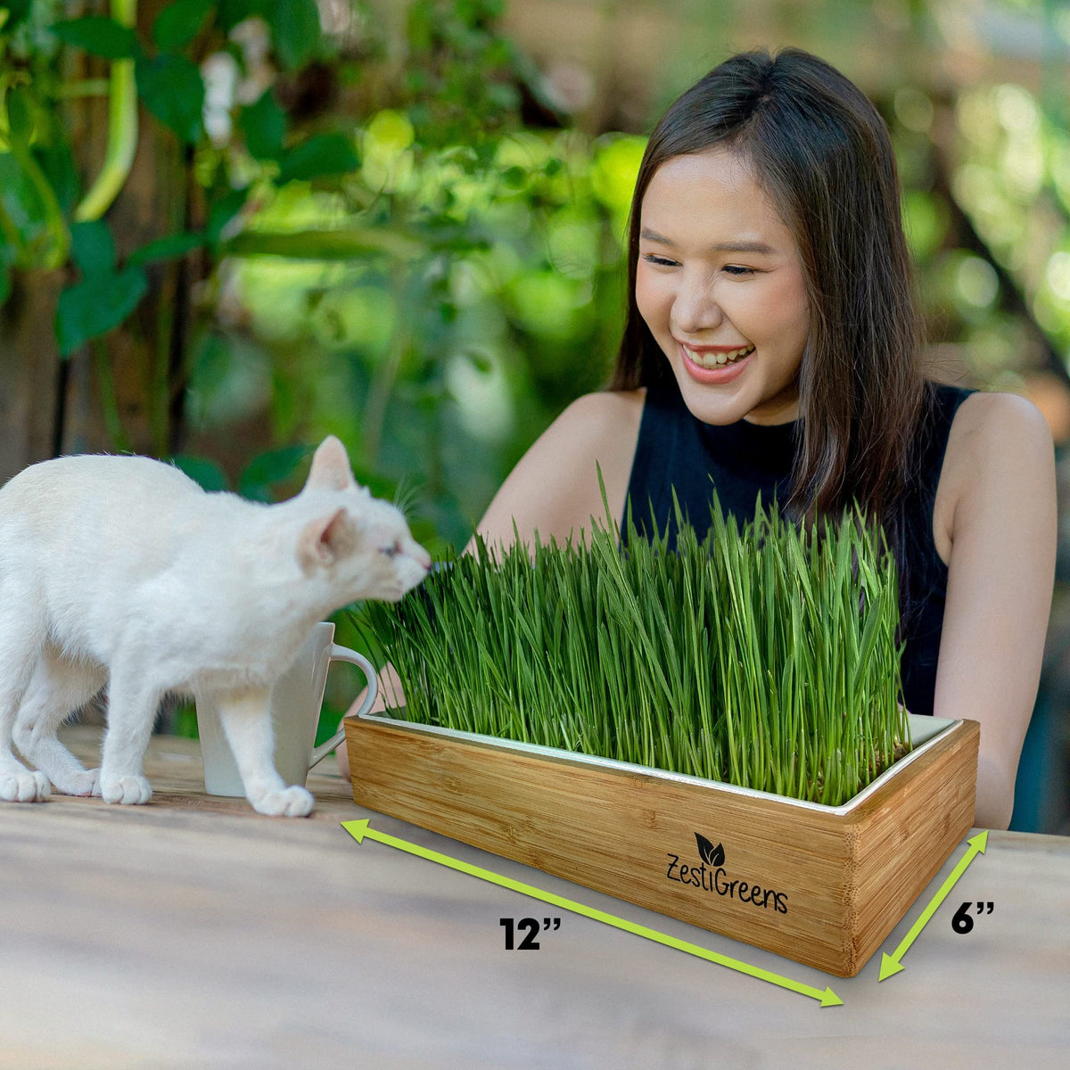 ZESTIGREENS large indoor tray keeps grass growing in a tidy setup.