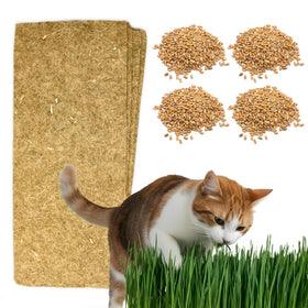 ZESTIGREENS cat grass refill contents with seeds and hemp mats for easy growing.
