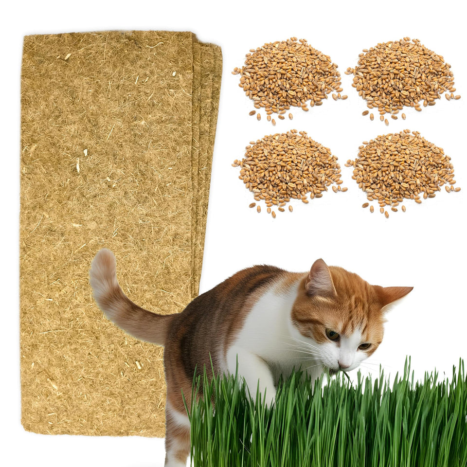 ZESTIGREENS cat grass refill contents with seeds and hemp mats for easy growing.