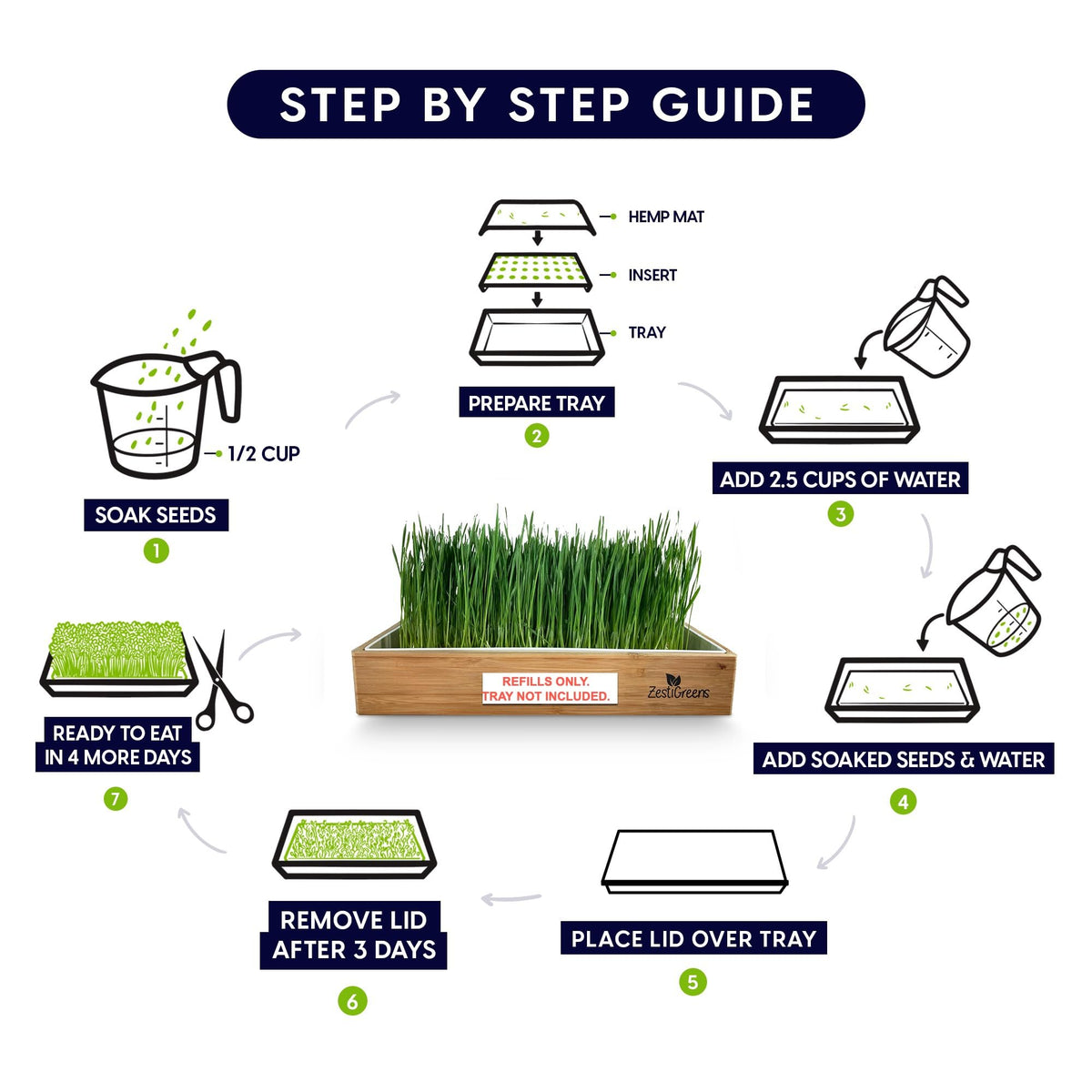 ZESTIGREENS cat grass seed packets ready to sow for fresh greens.