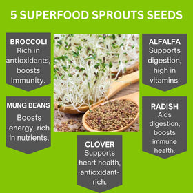ZestiGreens clover seed pack for mild, versatile sprouts.