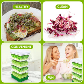 ZESTIGREENS compact design fits on counter, windowsill, or shelf