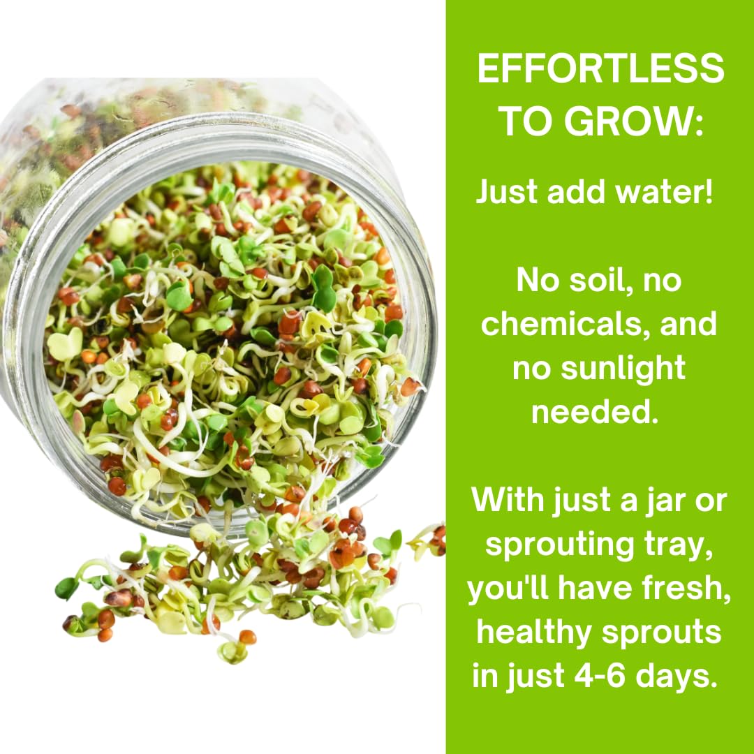 ZestiGreens daikon radish seed pack for peppery sprouts.