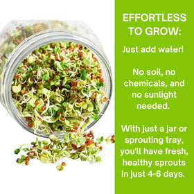 ZestiGreens daikon radish seed pack for peppery sprouts.