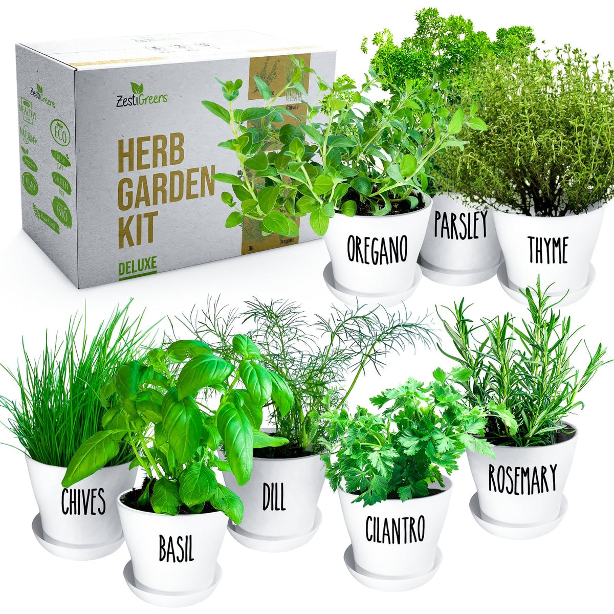 ZESTIGREENS gift-ready packaging suits gardeners and beginners