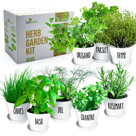 ZESTIGREENS gift-ready packaging suits gardeners and beginners