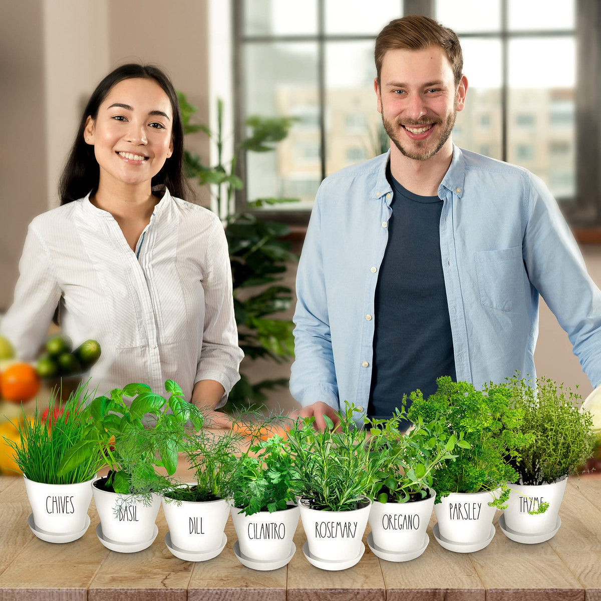 ZESTIGREENS step-by-step guide with photos makes growing approachable