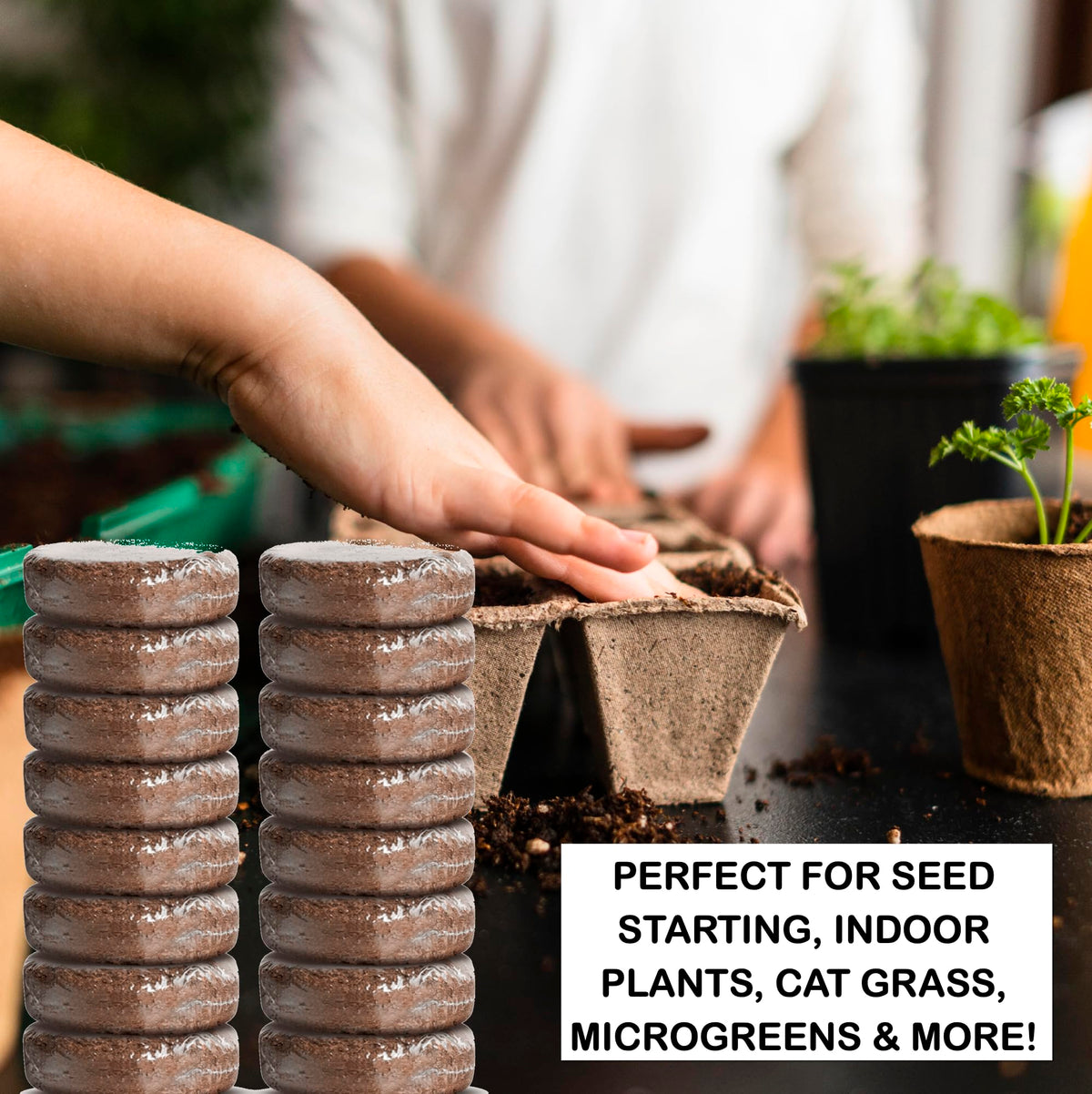 ZESTIGREENS eco friendly coconut coir is renewable