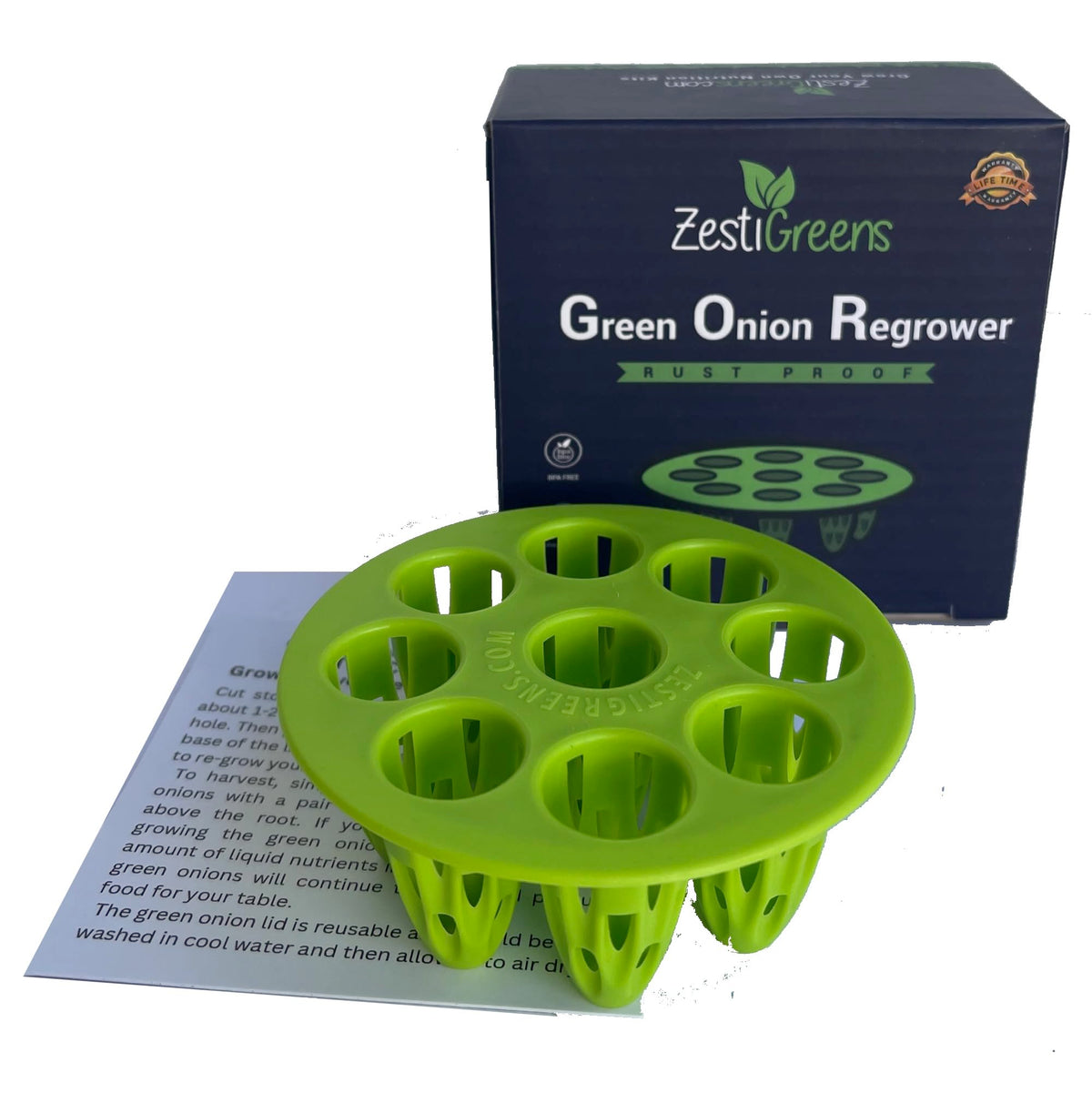 ZESTIGREENS green onion regrower lid with ergonomic design supporting upright growth