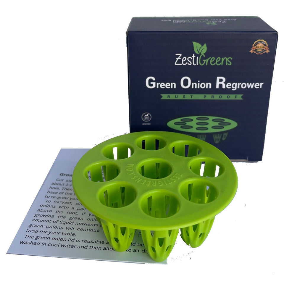 ZESTIGREENS green onion regrower lid with ergonomic design supporting upright growth