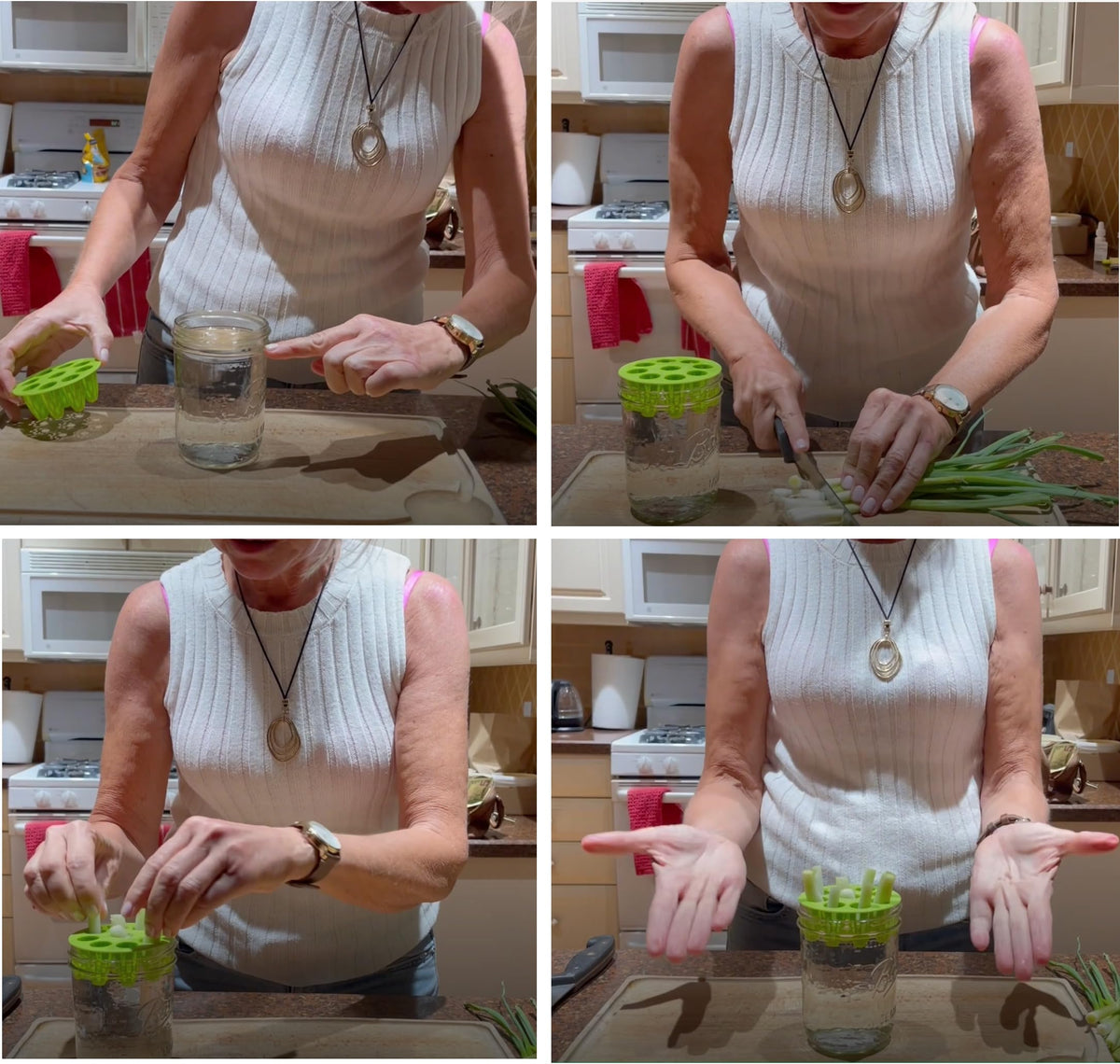 ZESTIGREENS regrower waste-reduction concept supports sustainable kitchen reuse