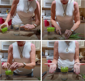 ZESTIGREENS regrower waste-reduction concept supports sustainable kitchen reuse