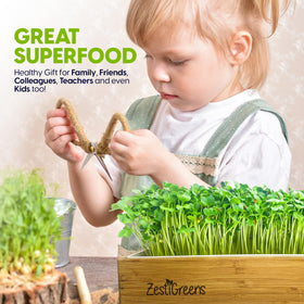 ZESTIGREENS hemp grow mats promote even moisture and germination