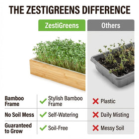ZESTIGREENS hydroponic insert enables soil-free greens at home