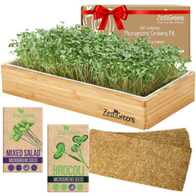 ZESTIGREENS illustrated grow guide supports confident indoor growing steps