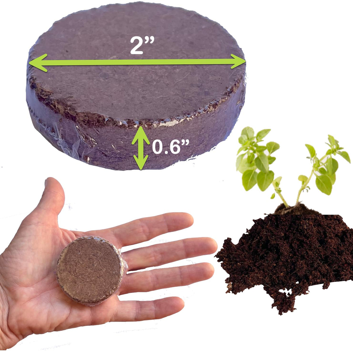 ZESTIGREENS ideal for indoor plants and herbs use case