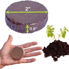ZESTIGREENS ideal for indoor plants and herbs use case