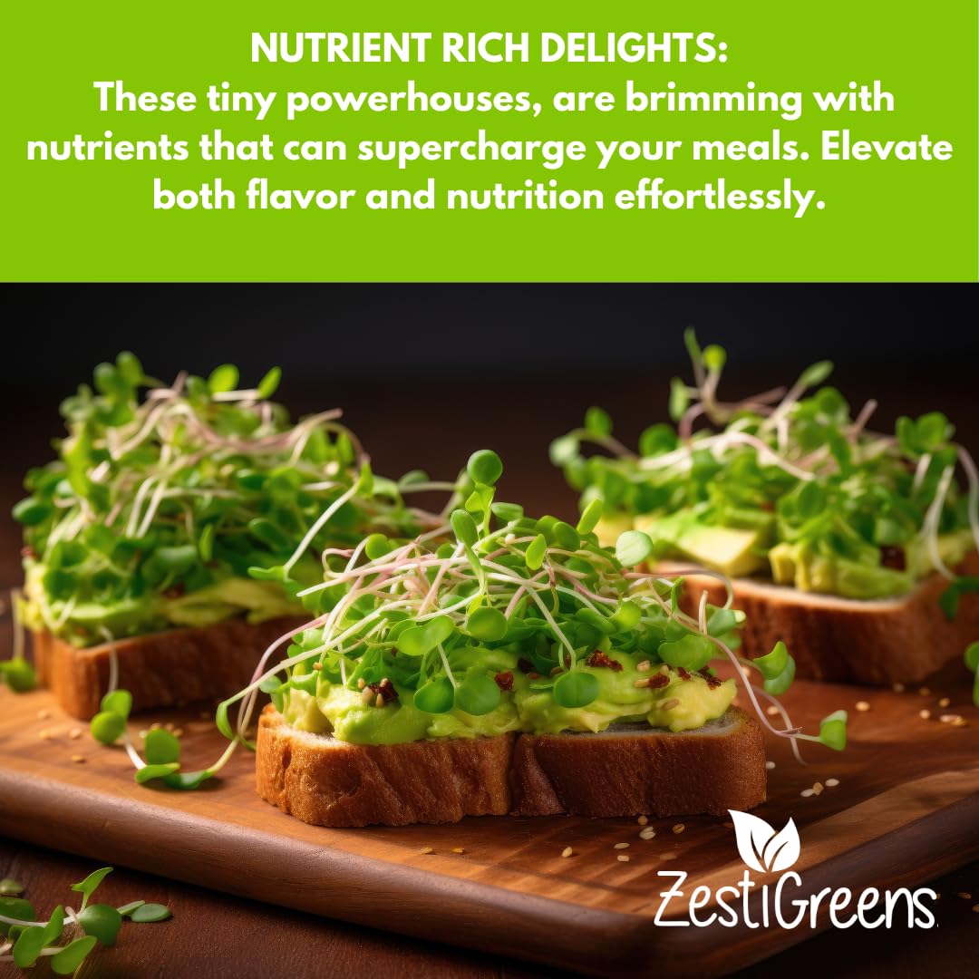 ZESTIGREENS kale microgreens seeds nutrient-dense greens in days